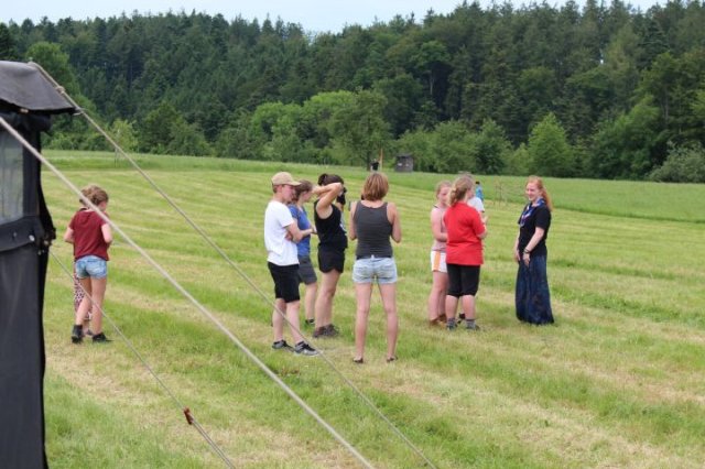 17 Scouttown- Gaupfila