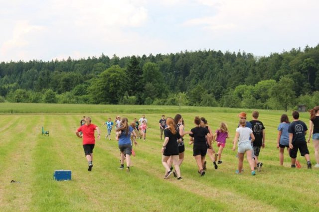 17 Scouttown- Gaupfila