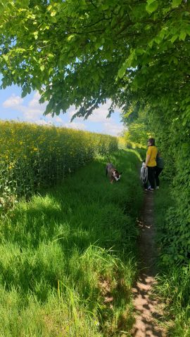 WhatsApp_Image_2021-05-29_at_183501