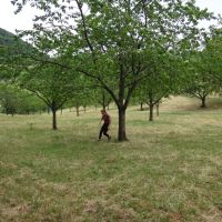 20230701-0424-DSC00386