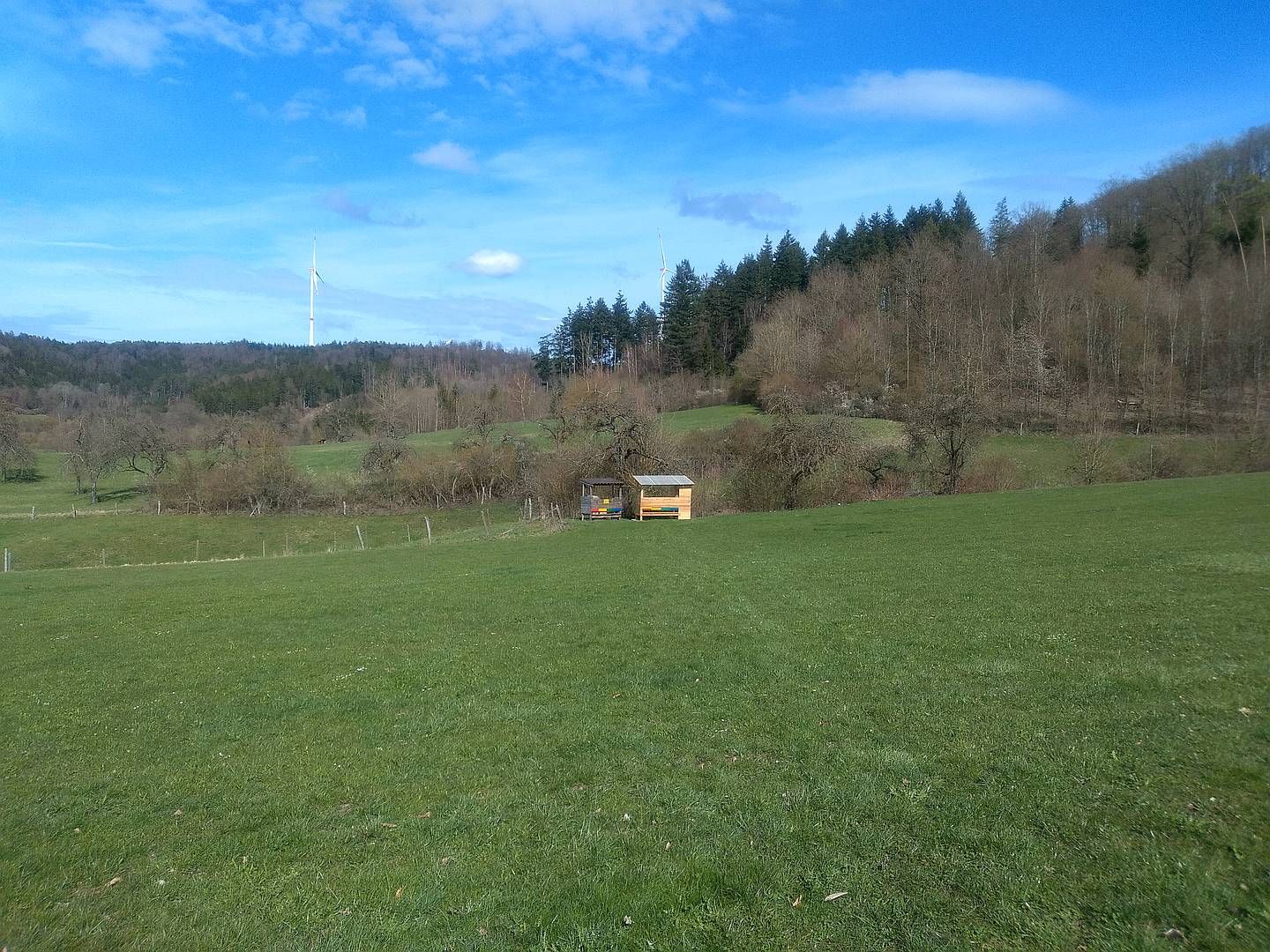 2021_03_Bienen_Fruehjahr_007