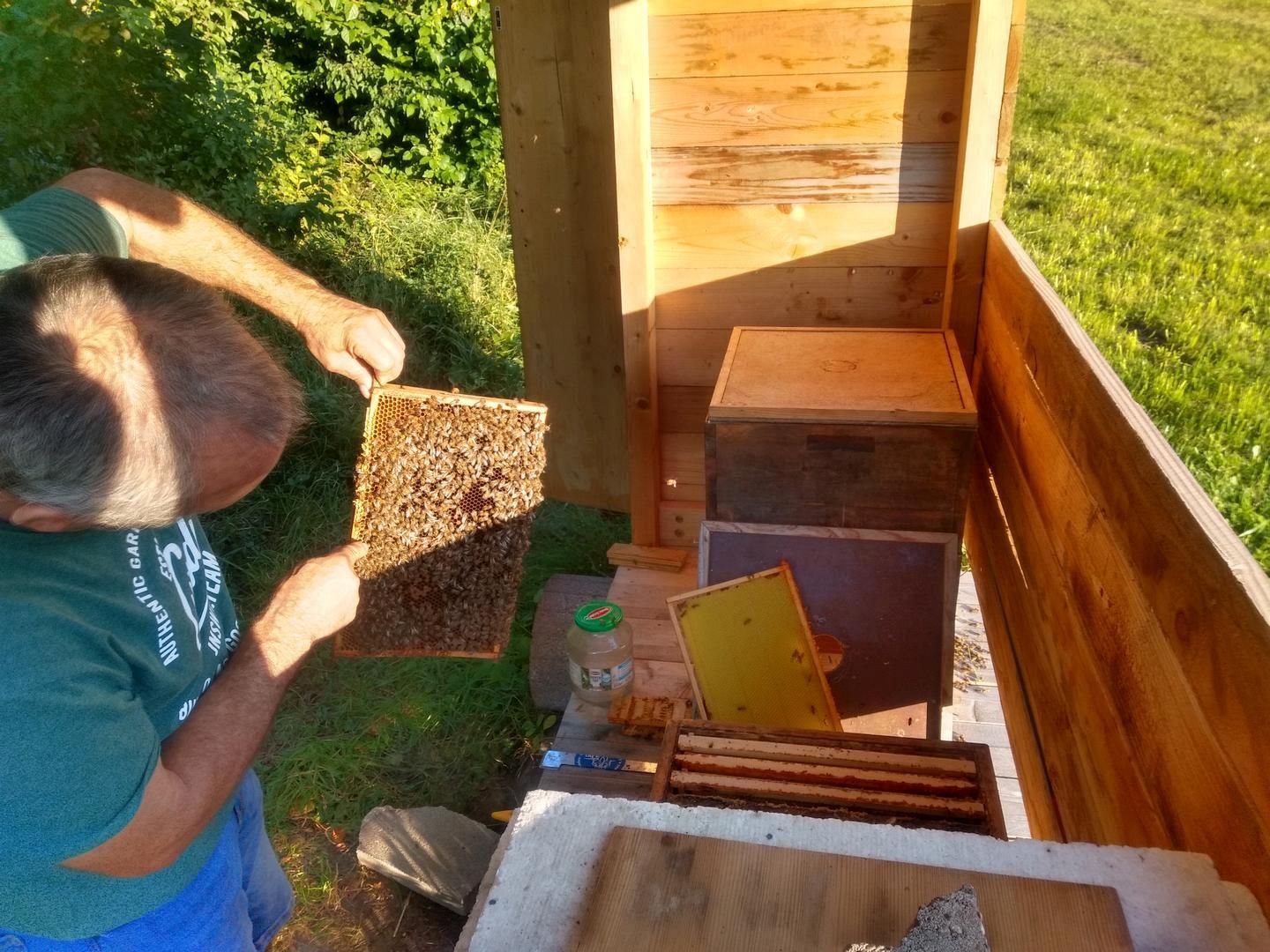 2021_08_Bienensommer_011