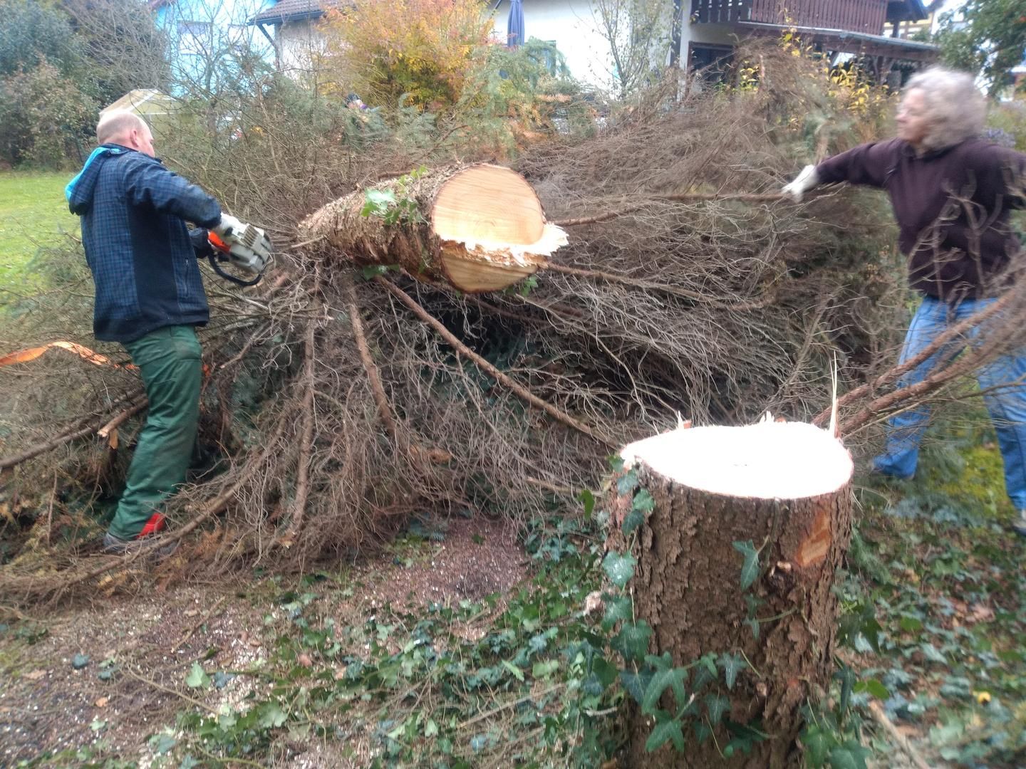 2021_10_16_Baufaellaktion_004