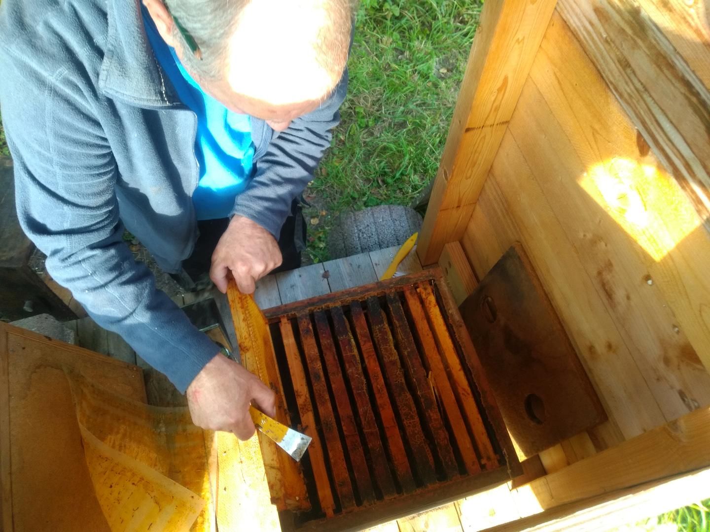 2021_11_Bienenherbst_002