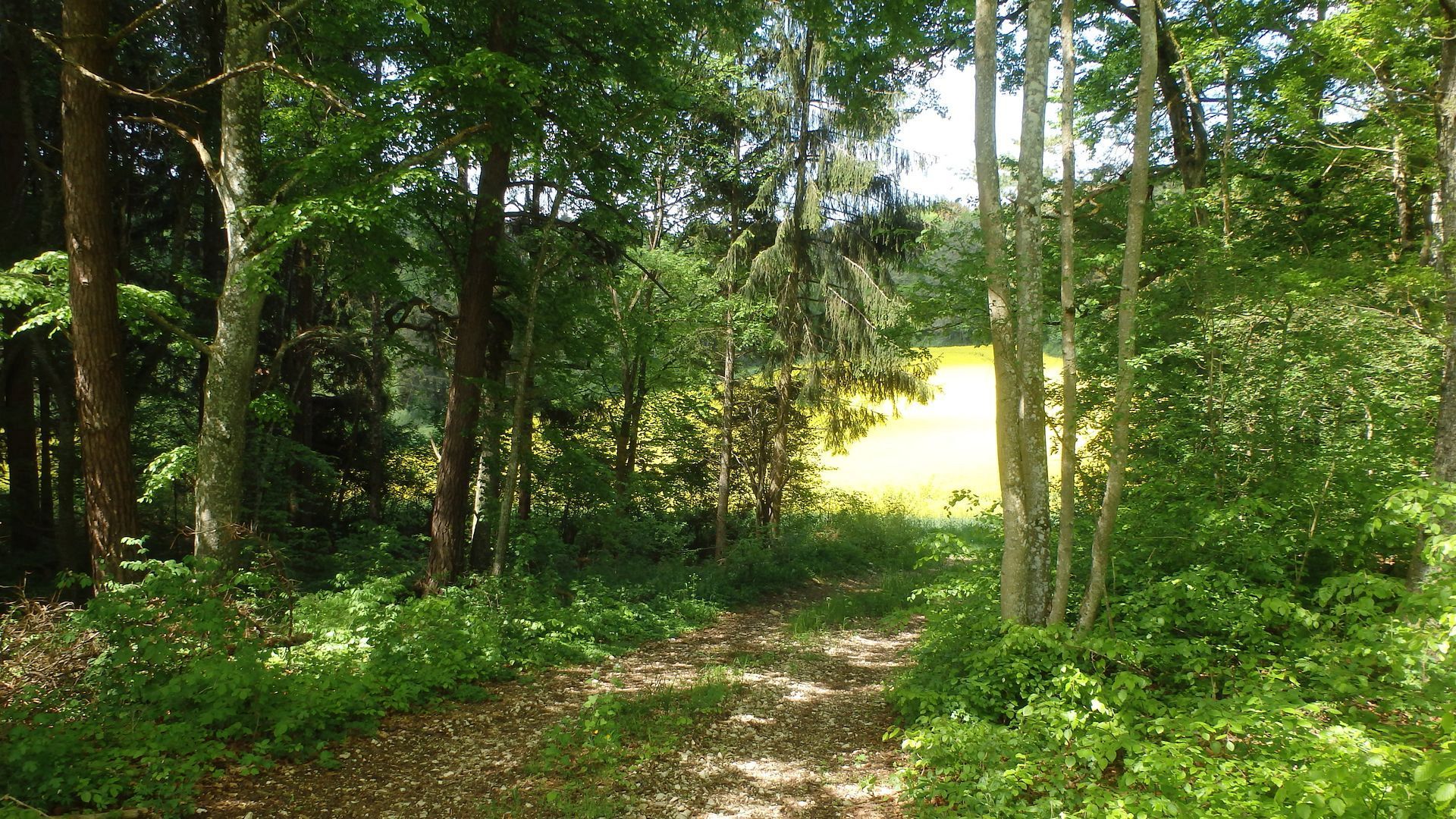 2022_05_Wanderwoe_Donautal_005