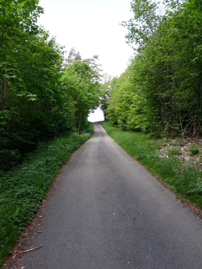 2022_05_Wanderwoe_Donautal_030