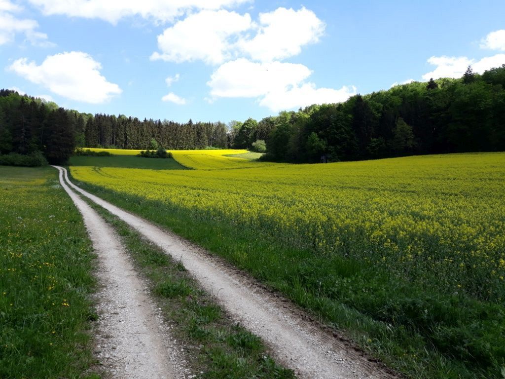 2022_05_Wanderwoe_Donautal_035