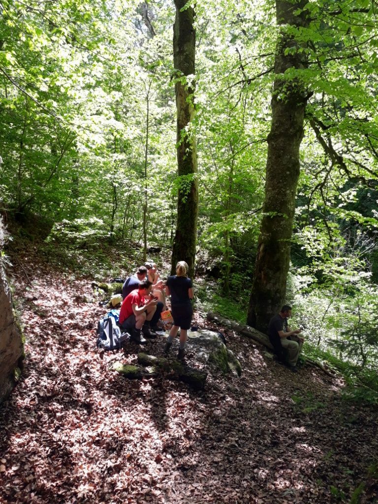 2022_05_Wanderwoe_Donautal_037