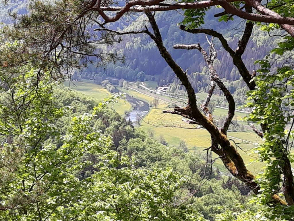 2022_05_Wanderwoe_Donautal_041