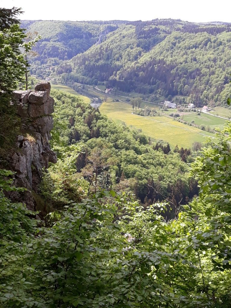 2022_05_Wanderwoe_Donautal_042