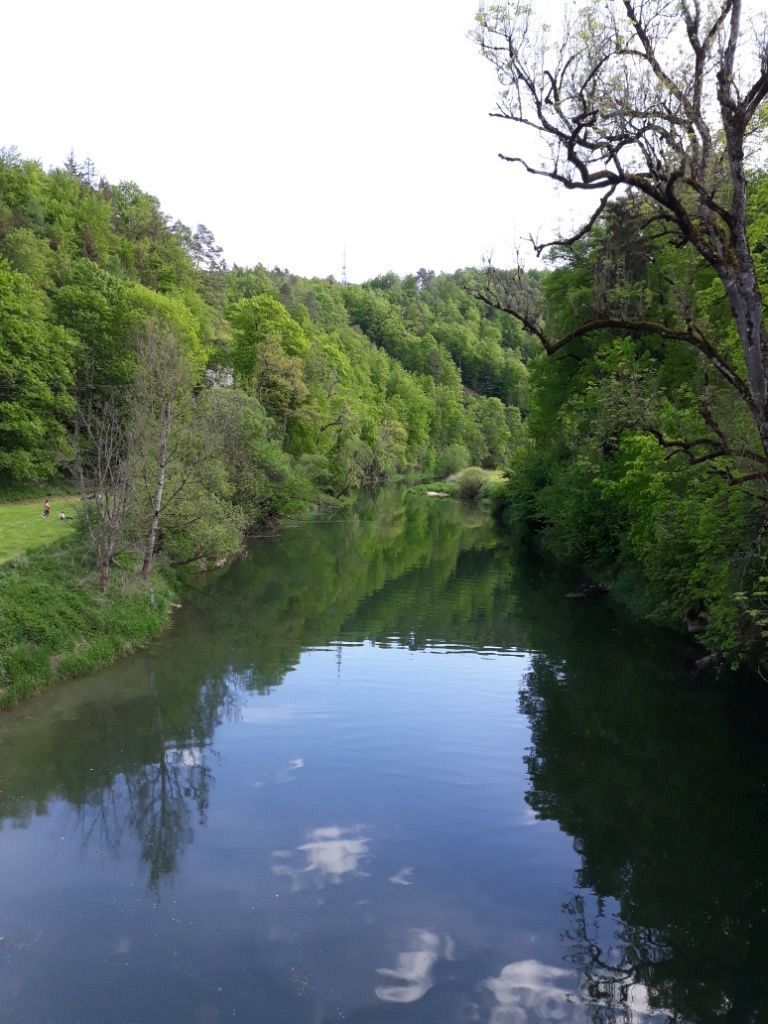 2022_05_Wanderwoe_Donautal_047