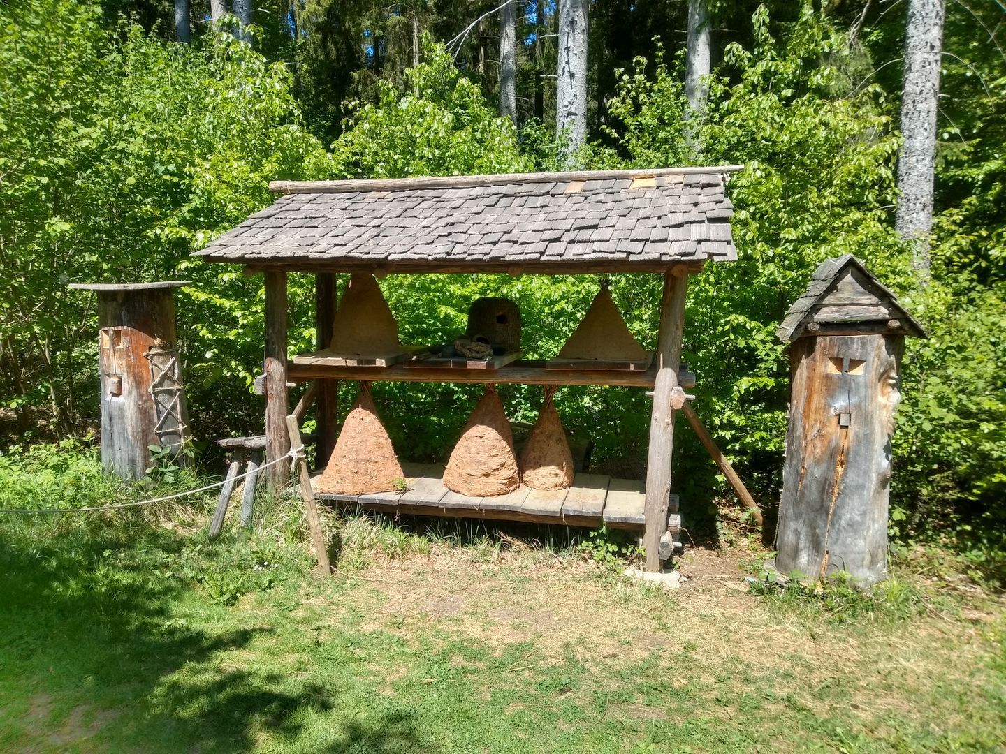 2022_05_Wanderwoe_Donautal_066