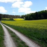 2022_05_Wanderwoe_Donautal_035