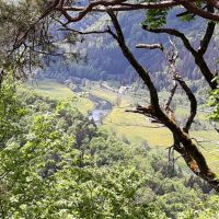 2022_05_Wanderwoe_Donautal_041