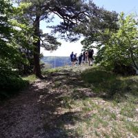 2022_05_Wanderwoe_Donautal_044