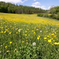 2022_05_Wanderwoe_Donautal_046