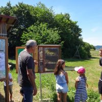 2022_08_25_Bienenaktionstag_004