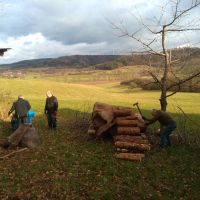 2023_02_18_Pfadihausaktion