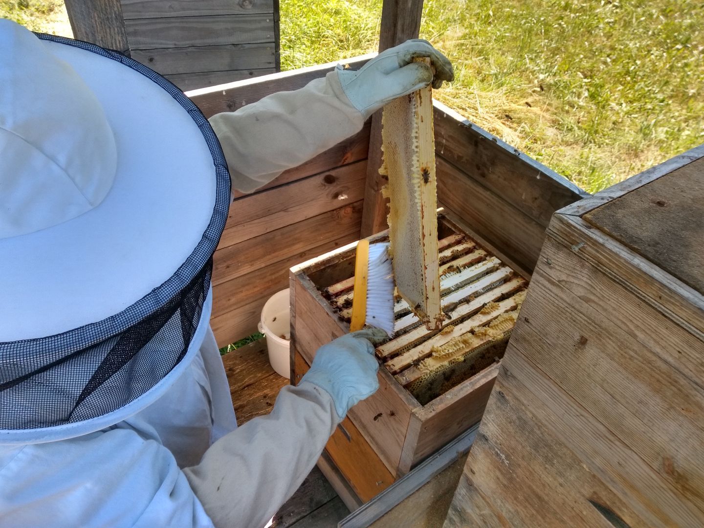 2023_06_25_Honigschleudern_016