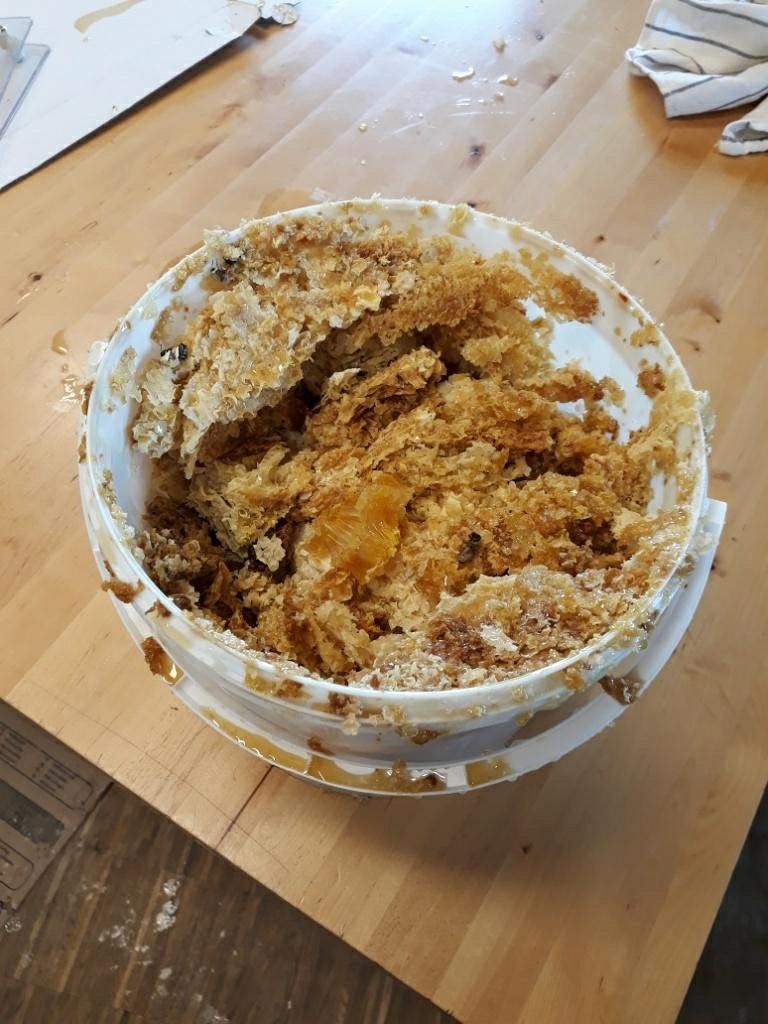 2023_06_25_Honigschleudern_035